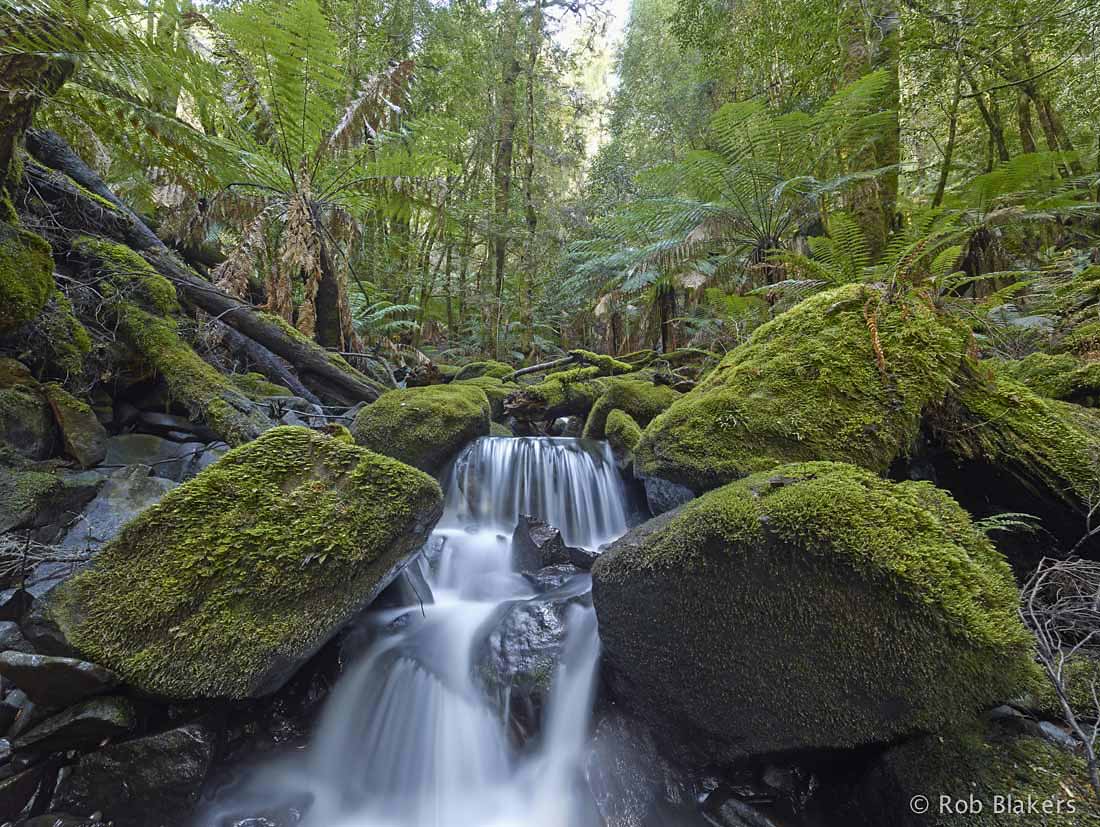 photograph of Butlers Gorge 4 (Rob Blakers)